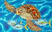 seaturtle