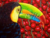 toucan